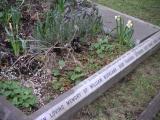 image of grave number 22606